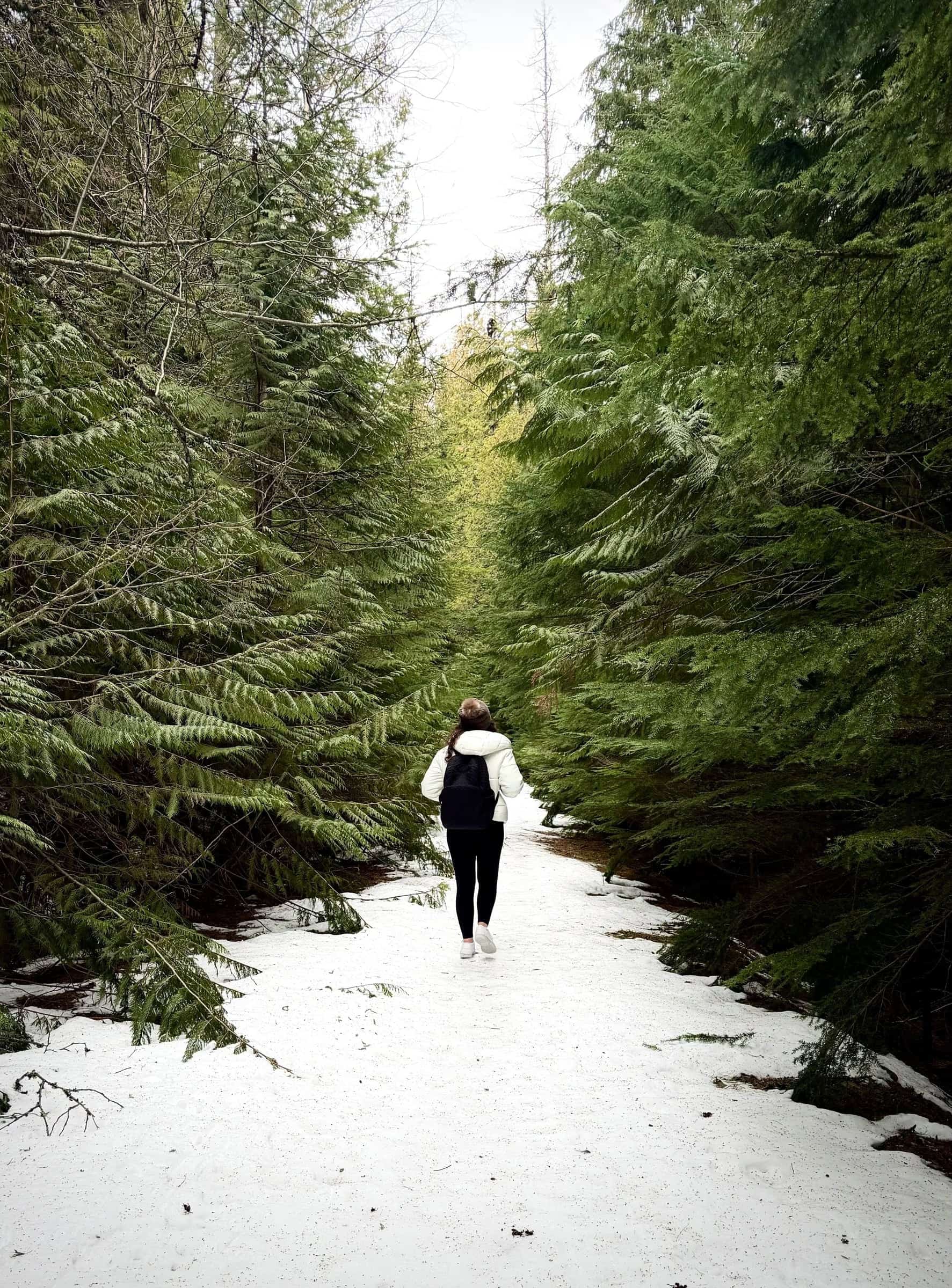 A woman walking a snowy forest trail between towering evergreens
